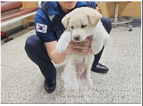 대전동물보호센터_430366202400294